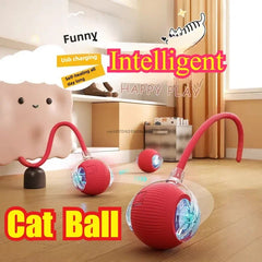 Bouncetug Play Ball Interactive Pet Toy