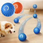 Rolling Ball Dog Toy - Sale✨